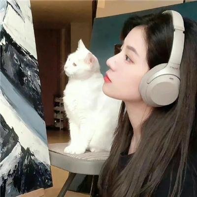石头不会忘记