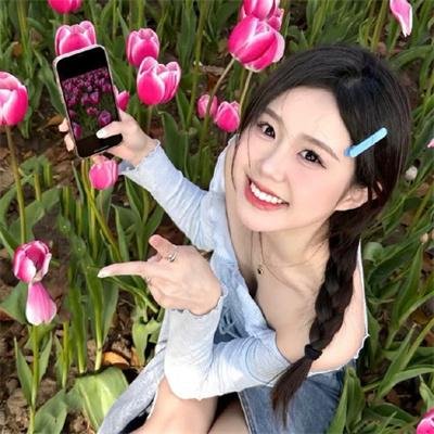 天堂岛疑云第五季